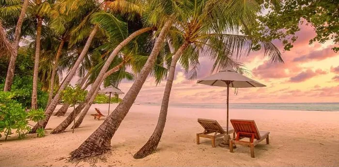 Framed Print : Tranquil tropical sunset scenery couple sun bed loungers, umbrella palm tree leaves. White sand sea view horizon, colorful twilight sky, calm relax Framed Print : Tranquil tropical sunset scenery couple sun bed loungers, umbrella palm tree leaves. White sand sea view horizon, colorful twilight sky, calm relax