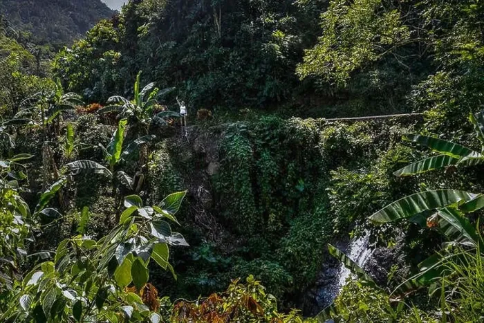 Framed Print : Travel arond jamaica, wild nature and local life and landscape Framed Print : Travel arond jamaica, wild nature and local life and landscape