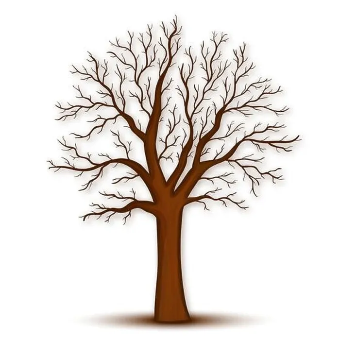 Framed Print : Tree without leaves vector Framed Print : Tree without leaves vector