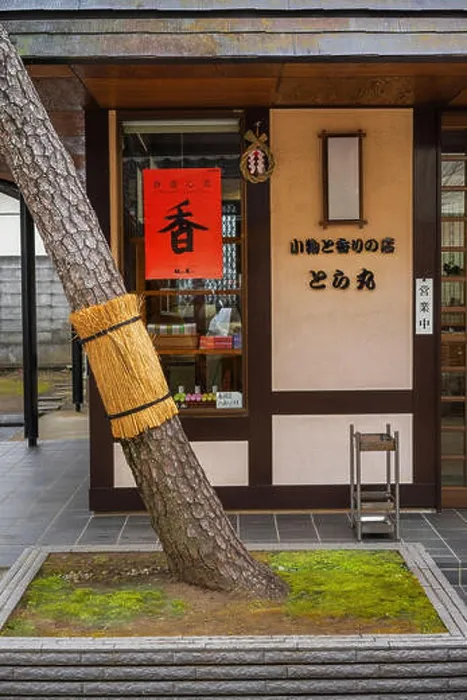 Framed Print : Tree on the pavements in village, japan Framed Print : Tree on the pavements in village, japan