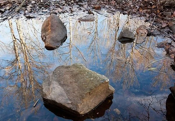 Tree Reflections - Pisgah National Forest - near Brevard, North Carolina USA