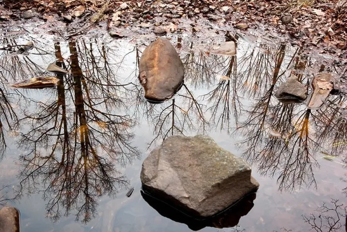 Framed Print : Tree Reflections - Pisgah National Forest - near Brevard, North Carolina USA Framed Print : Tree Reflections - Pisgah National Forest - near Brevard, North Carolina USA