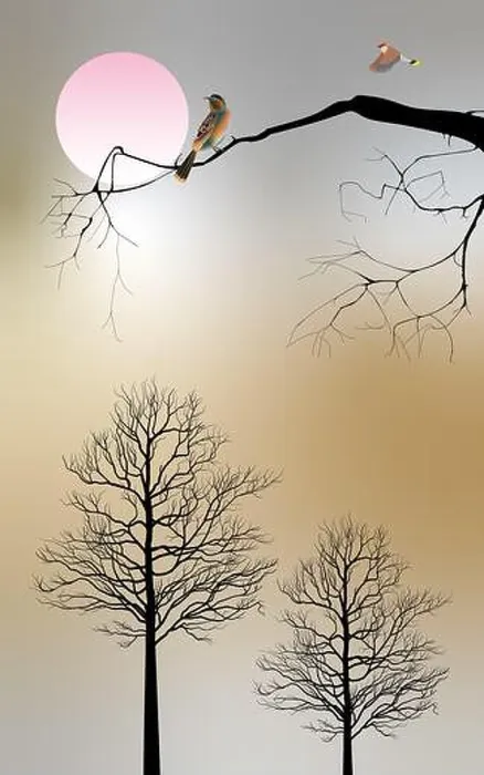Framed Print : Tree and Tree branch with moon see bird Framed Print : Tree and Tree branch with moon see bird