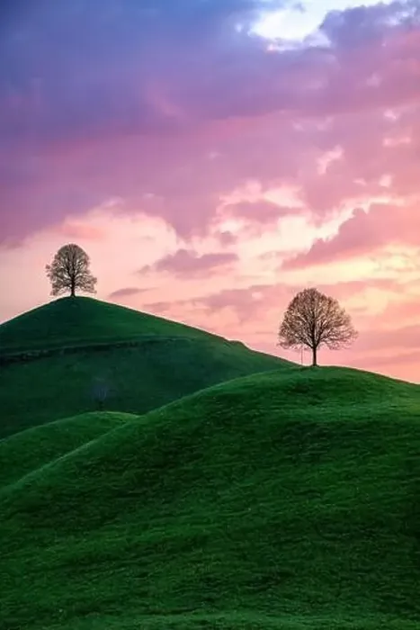 Framed Print : three trees on 3 hills under a purple sky Framed Print : three trees on 3 hills under a purple sky