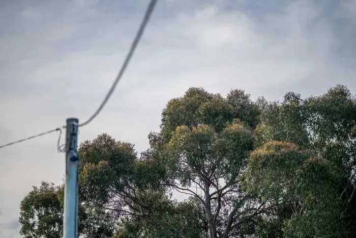 Framed Print : trees next to power lines in summer in australia high fire risk Framed Print : trees next to power lines in summer in australia high fire risk