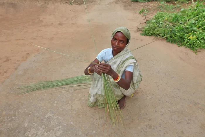 Framed Print : Tribal woman making a broom. Oraon tribe. Hardhekitand village, Dist Bokaro, Jharkhand, India Framed Print : Tribal woman making a broom. Oraon tribe. Hardhekitand village, Dist Bokaro, Jharkhand, India
