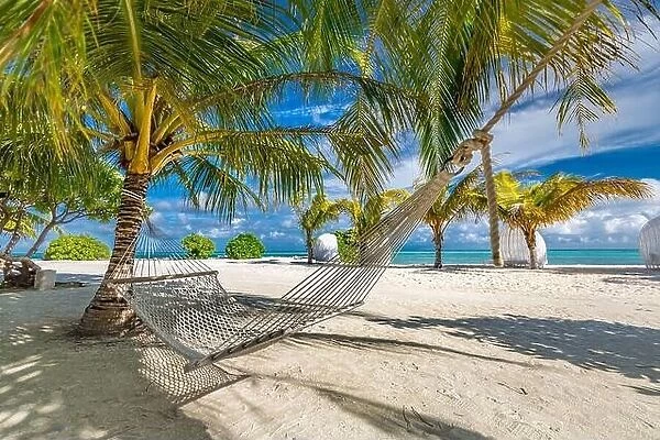 Tropic beach hammock hanging on a palm tree on the Maldives. Amazing summer vibes and beach mood, relaxing hammock for outdoor recreational background