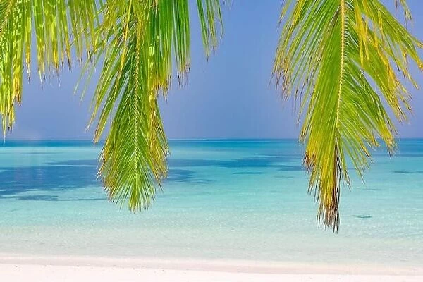 Tropical beach background as summer landscape with seascape palm trees leaves and calm sea for beach banner. Tranquil beach scene, vacation holiday