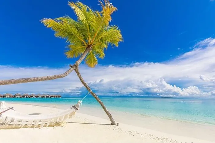 Framed Print : Tropical beach background as summer landscape. Perfect beach scene vacation and summer holiday concept. Beach swing or hammock and white sand and calm