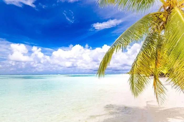 Framed Print : Tropical beach background as summer landscape with beach swing or hammock and white sand and calm sea for beach banner. Perfect beach scene vacation Framed Print : Tropical beach background as summer landscape with beach swing or hammock and white sand and calm sea for beach banner. Perfect beach scene vacation