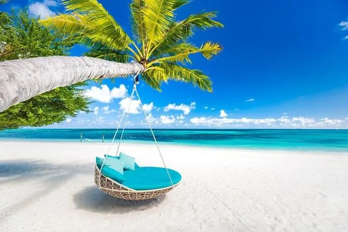 Framed Print : Tropical beach background as summer landscape with beach swing or hammock and white sand and calm sea for beach banner. Perfect beach scene vacation Framed Print : Tropical beach background as summer landscape with beach swing or hammock and white sand and calm sea for beach banner. Perfect beach scene vacation