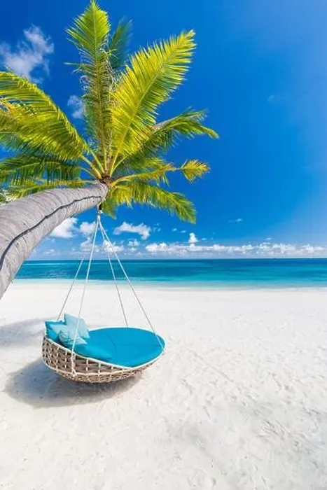 Framed Print : Tropical beach background as summer landscape with beach swing or hammock and white sand and calm sea for beach banner. Perfect beach scene vacation Framed Print : Tropical beach background as summer landscape with beach swing or hammock and white sand and calm sea for beach banner. Perfect beach scene vacation