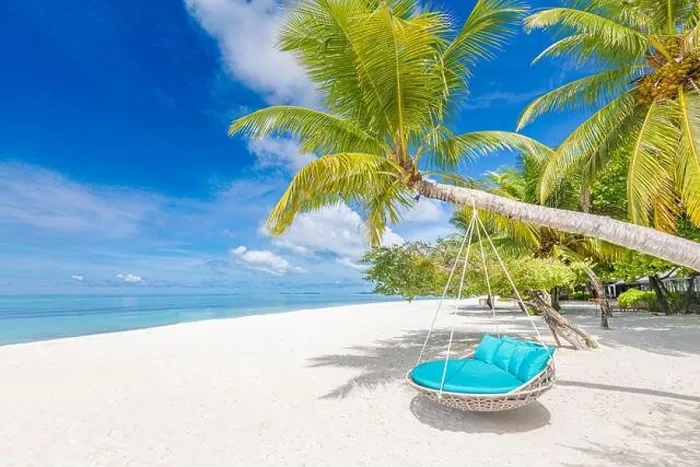 Framed Print : Tropical beach background as summer landscape with beach swing or hammock and white sand and calm sea for beach banner. Perfect beach scene vacation Framed Print : Tropical beach background as summer landscape with beach swing or hammock and white sand and calm sea for beach banner. Perfect beach scene vacation