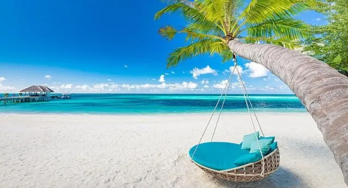 Framed Print : Tropical beach background as summer landscape with beach swing hammock white sand and calm sea for beach banner. Perfect beach scene vacation holiday Framed Print : Tropical beach background as summer landscape with beach swing hammock white sand and calm sea for beach banner. Perfect beach scene vacation holiday