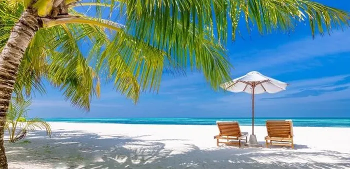 Framed Print : Tropical beach background as summer landscape with lounge chairs and palm trees and calm sea for beach banner. Summer travel destination Framed Print : Tropical beach background as summer landscape with lounge chairs and palm trees and calm sea for beach banner. Summer travel destination