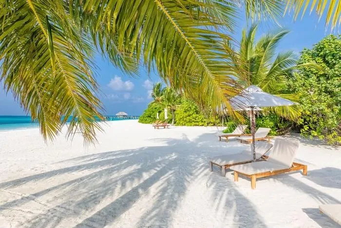 Framed Print : Tropical beach background as summer landscape with lounge chairs and palm trees and calm sea for beach banner. Summer travel destination