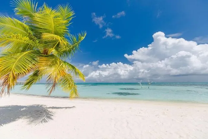 Framed Print : Tropical beach background as summer landscape with white sand and calm sea and palm leaves for beach banner. Perfect island paradise, beach vacation Framed Print : Tropical beach background as summer landscape with white sand and calm sea and palm leaves for beach banner. Perfect island paradise, beach vacation