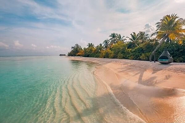 Tropical beach landscape. Tranquil nature scenery, palm trees sand calm sea water paradise island coast. Tropical beach view, soft sunlight, clouds