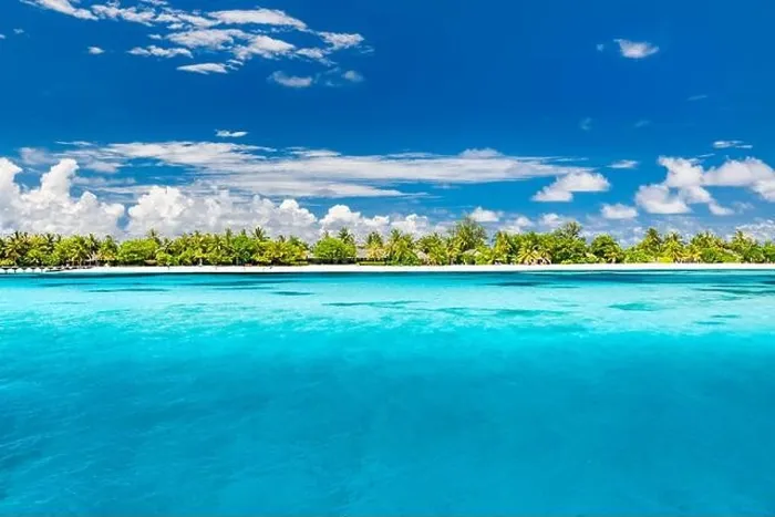 Framed Print : Tropical beach in the Maldives Framed Print : Tropical beach in the Maldives