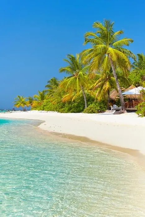Framed Print : tropical beach at Maldives Island, Ari Atoll Framed Print : tropical beach at Maldives Island, Ari Atoll