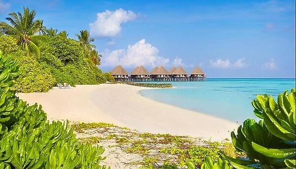 Tropical beach at Maldives Islands, Ari Atoll