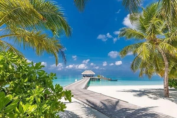 Tropical beach, Maldives. Jetty pathway into tranquil paradise island. Palm trees, white sand and blue sea, perfect summer vacation landscape holiday
