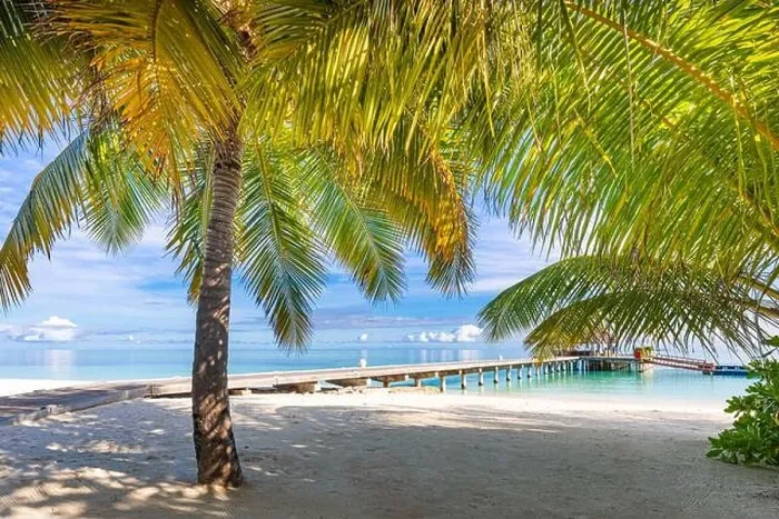 Framed Print : Tropical beach, Maldives. Jetty pathway into tranquil paradise island. Palm trees, white sand and blue sea, perfect summer vacation landscape holiday Framed Print : Tropical beach, Maldives. Jetty pathway into tranquil paradise island. Palm trees, white sand and blue sea, perfect summer vacation landscape holiday