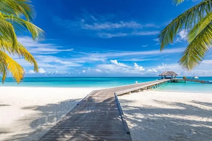Framed Print : Tropical beach, Maldives. Jetty pathway into tranquil paradise island. Palm trees, white sand and blue sea, perfect summer vacation landscape holiday Framed Print : Tropical beach, Maldives. Jetty pathway into tranquil paradise island. Palm trees, white sand and blue sea, perfect summer vacation landscape holiday