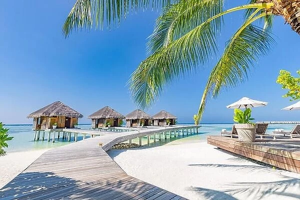 Tropical beach in Maldives with palm trees and blue lagoon, wooden jetty. Luxury vacation and holiday background, loungers, beach chairs and umbrella