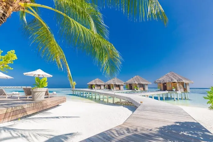 Framed Print : Tropical beach in Maldives with palm trees and blue lagoon, wooden jetty. Luxury vacation and holiday background, loungers, beach chairs and umbrella Framed Print : Tropical beach in Maldives with palm trees and blue lagoon, wooden jetty. Luxury vacation and holiday background, loungers, beach chairs and umbrella
