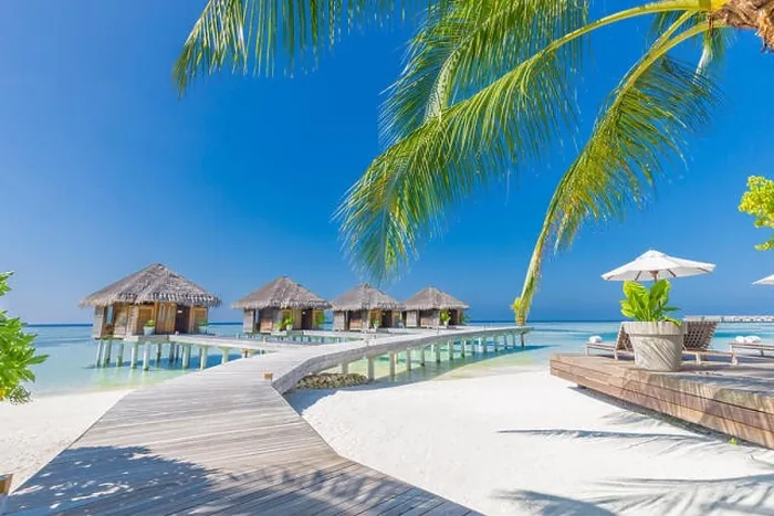 Framed Print : Tropical beach in Maldives with palm trees and blue lagoon, wooden jetty. Luxury vacation and holiday background, loungers, beach chairs and umbrella Framed Print : Tropical beach in Maldives with palm trees and blue lagoon, wooden jetty. Luxury vacation and holiday background, loungers, beach chairs and umbrella