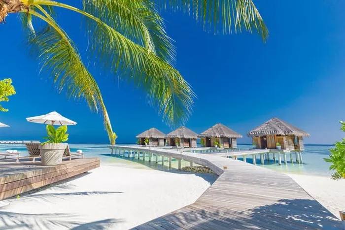 Framed Print : Tropical beach in Maldives with palm trees and blue lagoon, wooden jetty. Luxury vacation and holiday background, loungers, beach chairs and umbrella Framed Print : Tropical beach in Maldives with palm trees and blue lagoon, wooden jetty. Luxury vacation and holiday background, loungers, beach chairs and umbrella