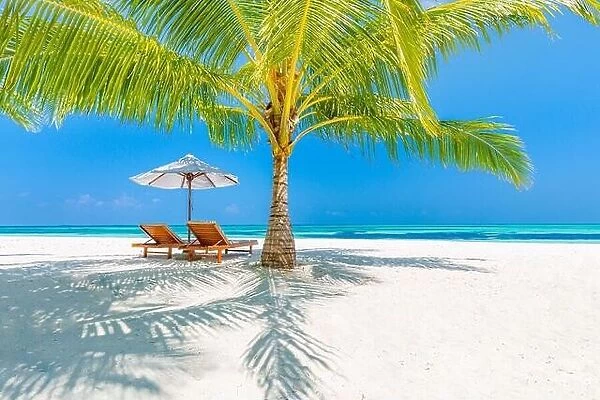 Tropical beach nature as summer landscape with lounge chairs and palm trees and calm sea for beach banner. Luxurious amazing travel landscape scenic