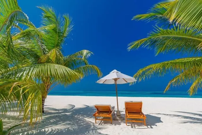 Framed Print : Tropical beach nature as summer landscape with lounge chairs and palm trees and calm sea for beach banner. Luxurious travel vacation holiday landscape