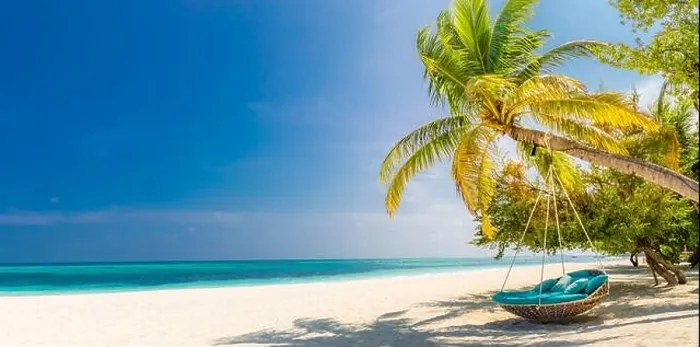 Framed Print : Tropical beach panorama as summer landscape with beach swing or hammock and white sand and calm sea for beach banner. Perfect beach scene vacation Framed Print : Tropical beach panorama as summer landscape with beach swing or hammock and white sand and calm sea for beach banner. Perfect beach scene vacation