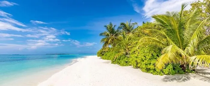Framed Print : Tropical beach panorama view, summer landscape, palm trees and white sand, horizon of calm sea for beach banner. Relax nature of beach scene, vacation Framed Print : Tropical beach panorama view, summer landscape, palm trees and white sand, horizon of calm sea for beach banner. Relax nature of beach scene, vacation