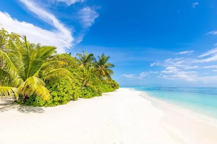 Framed Print : Tropical beach panorama view, summer landscape, palm trees and white sand, horizon of calm sea for beach banner. Relax nature of beach scene, vacation Framed Print : Tropical beach panorama view, summer landscape, palm trees and white sand, horizon of calm sea for beach banner. Relax nature of beach scene, vacation