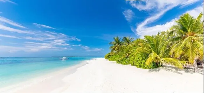 Framed Print : Tropical beach panorama view, summer landscape, palm trees and white sand, horizon of calm sea for beach banner. Relax nature of beach scene, vacation Framed Print : Tropical beach panorama view, summer landscape, palm trees and white sand, horizon of calm sea for beach banner. Relax nature of beach scene, vacation