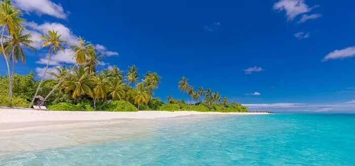 Framed Print : Tropical beach panorama view, summer landscape, palm trees and white sand, horizon of calm sea for beach banner. Relax nature of beach scene, vacation Framed Print : Tropical beach panorama view, summer landscape, palm trees and white sand, horizon of calm sea for beach banner. Relax nature of beach scene, vacation