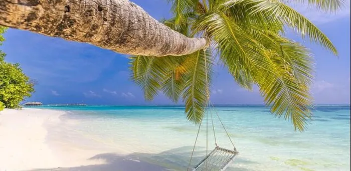 Framed Print : Tropical beach panoramic paradise. Summer island landscape, swing or hammock on palm tree. Sea sand sky as serene beach. Luxury beach scenic vacation Framed Print : Tropical beach panoramic paradise. Summer island landscape, swing or hammock on palm tree. Sea sand sky as serene beach. Luxury beach scenic vacation