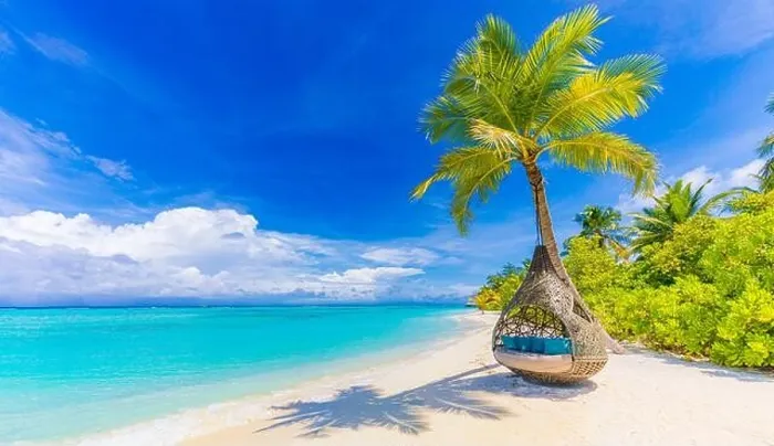 Framed Print : Tropical beach paradise as summer landscape, beach swing hammock and white sand, calm sea serene beach. Luxury beach resort hotel vacation holiday Framed Print : Tropical beach paradise as summer landscape, beach swing hammock and white sand, calm sea serene beach. Luxury beach resort hotel vacation holiday