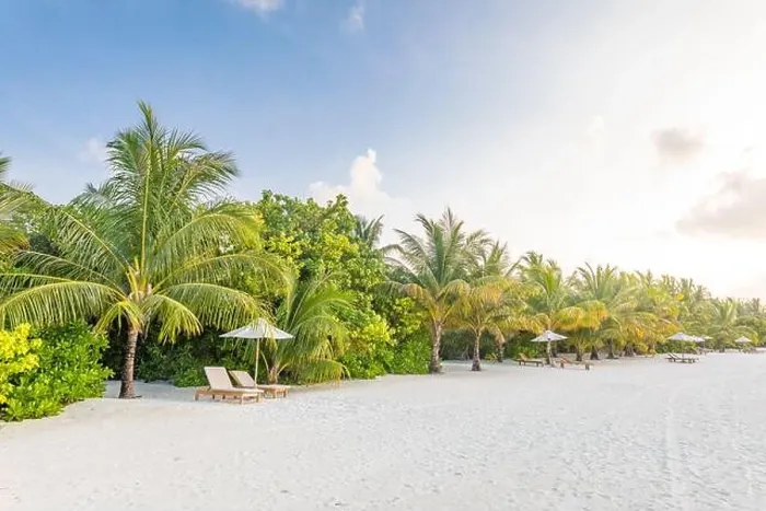 Framed Print : Tropical beach resort island view. Palm trees under soft blur sky Framed Print : Tropical beach resort island view. Palm trees under soft blur sky