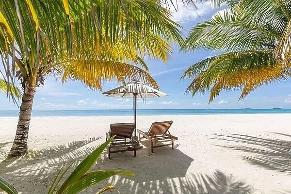 Tropical beach resort, luxury white sandy beach landscape, summer tourism destination, vacation