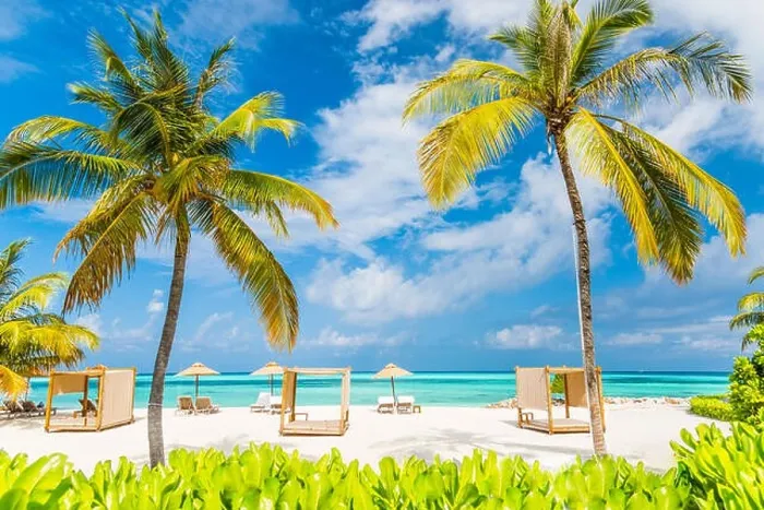 Framed Print : Tropical beach scene, loungers and beach canopy under palm trees and blue sky. Summer vacation and holiday concept Framed Print : Tropical beach scene, loungers and beach canopy under palm trees and blue sky. Summer vacation and holiday concept