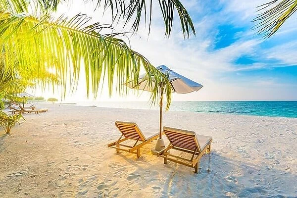 Tropical beach sunset background as summer landscape with lounge chairs and palm trees and calm sea for beach banner. Calm tropical beach landscape