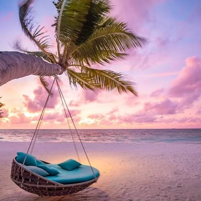 Framed Print : Tropical beach sunset landscape with beach swing or hammock and sunset sky white sand and calm sea for beach banner. Perfect beach scene vacation Framed Print : Tropical beach sunset landscape with beach swing or hammock and sunset sky white sand and calm sea for beach banner. Perfect beach scene vacation