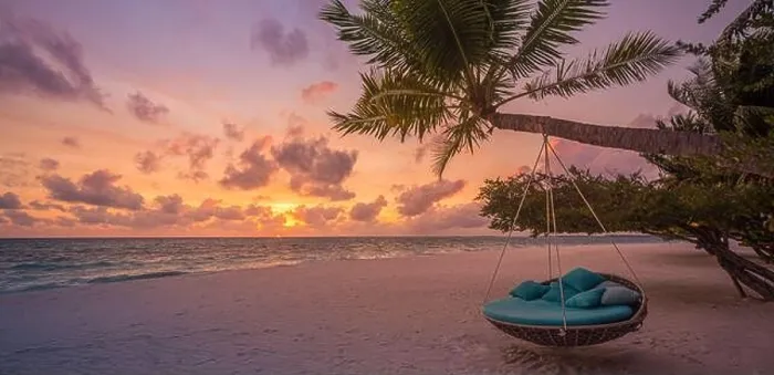 Framed Print : Tropical beach sunset landscape with beach swing or hammock and sunset sky white sand and calm sea for beach banner. Perfect beach scene vacation Framed Print : Tropical beach sunset landscape with beach swing or hammock and sunset sky white sand and calm sea for beach banner. Perfect beach scene vacation