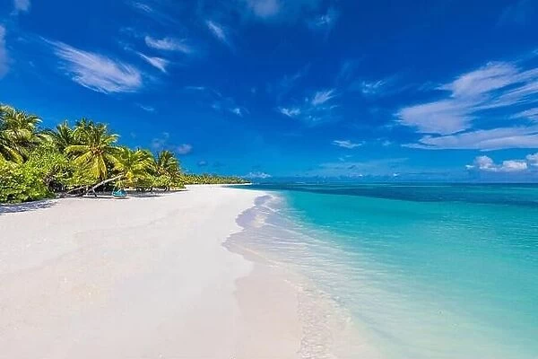Tropical Caribbean beach scenery, Dominican Republic or Tahiti beach scene. Maldives shore, coast landscape, palm trees, white sand seaside ocean view