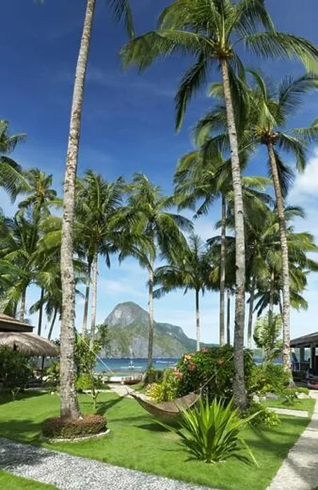 Framed Print : Tropical garden in front of the sea, hammock between a palm trees, El-Nido, Philippines Framed Print : Tropical garden in front of the sea, hammock between a palm trees, El-Nido, Philippines