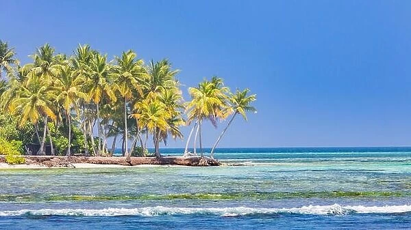 Tropical island beach. Palm trees near blue sea, tranquil nature concept. Exotic beach scenery
